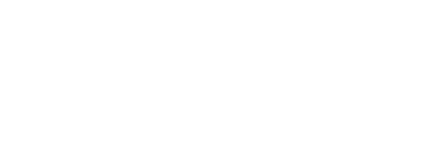 DENY SECURITY from Sfpi Group